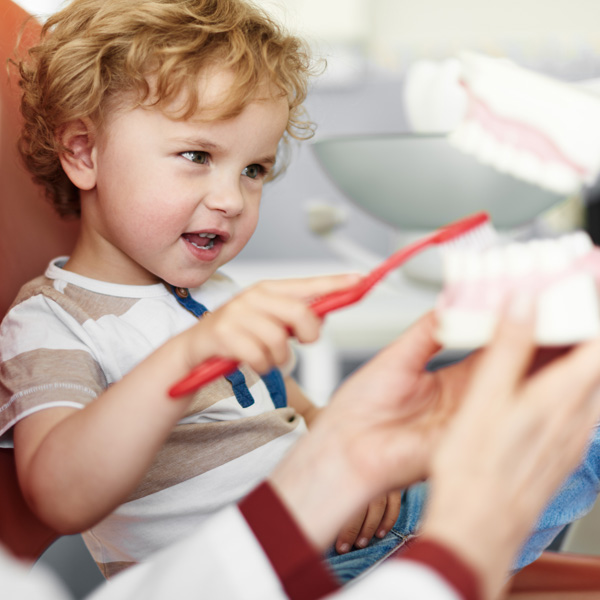 little boy learning to clean fake teeth